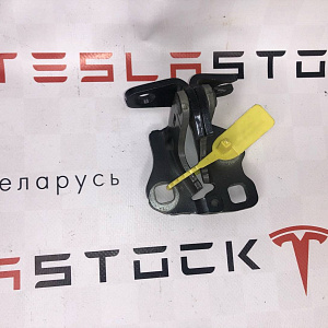 Петля двери задней правой