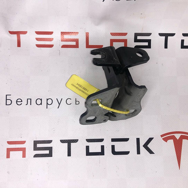 Петля двери задней правой